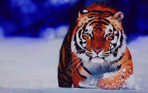 619594 (a): :1920x1200